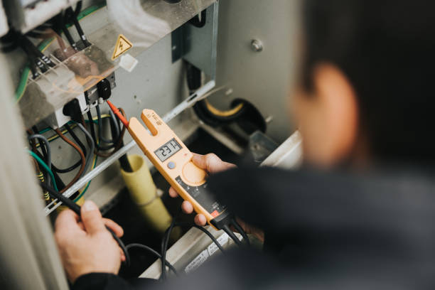 Best Local Electrician Companies  in Pelican Rapids, MN