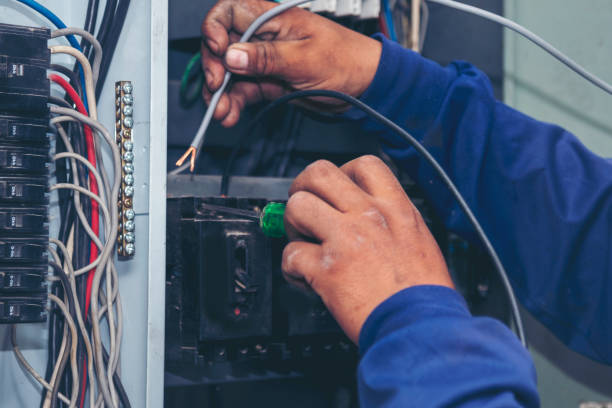 Best Ceiling Fan Installation Electrician  in Pelican Rapids, MN